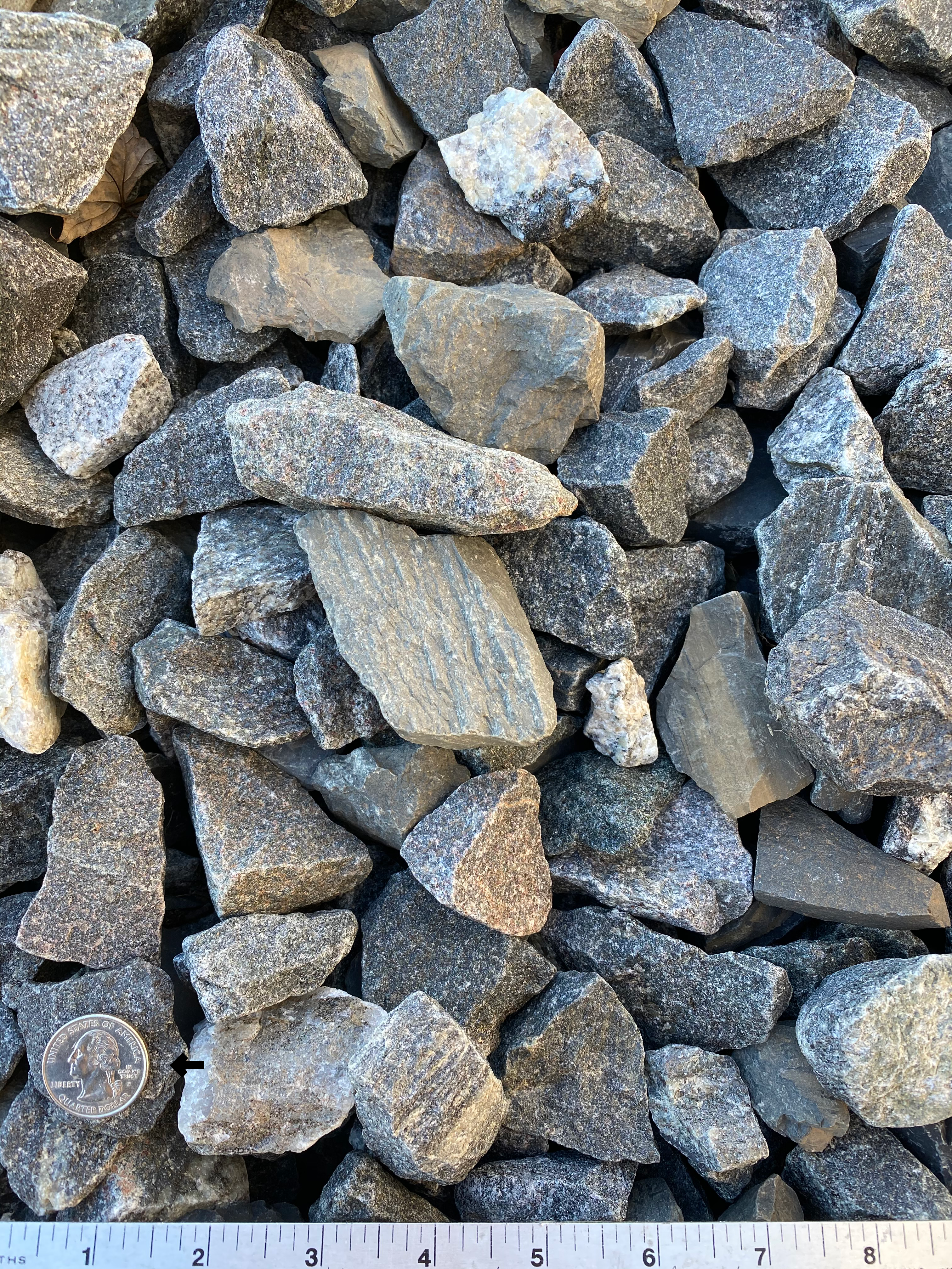 Grey 1½